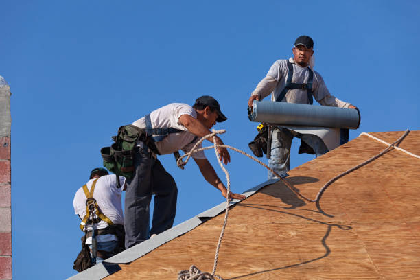 Best Roof Maintenance Services  in Morenci, MI